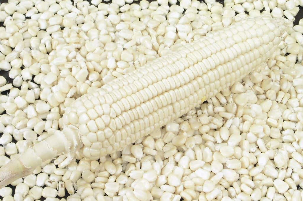 white-maize