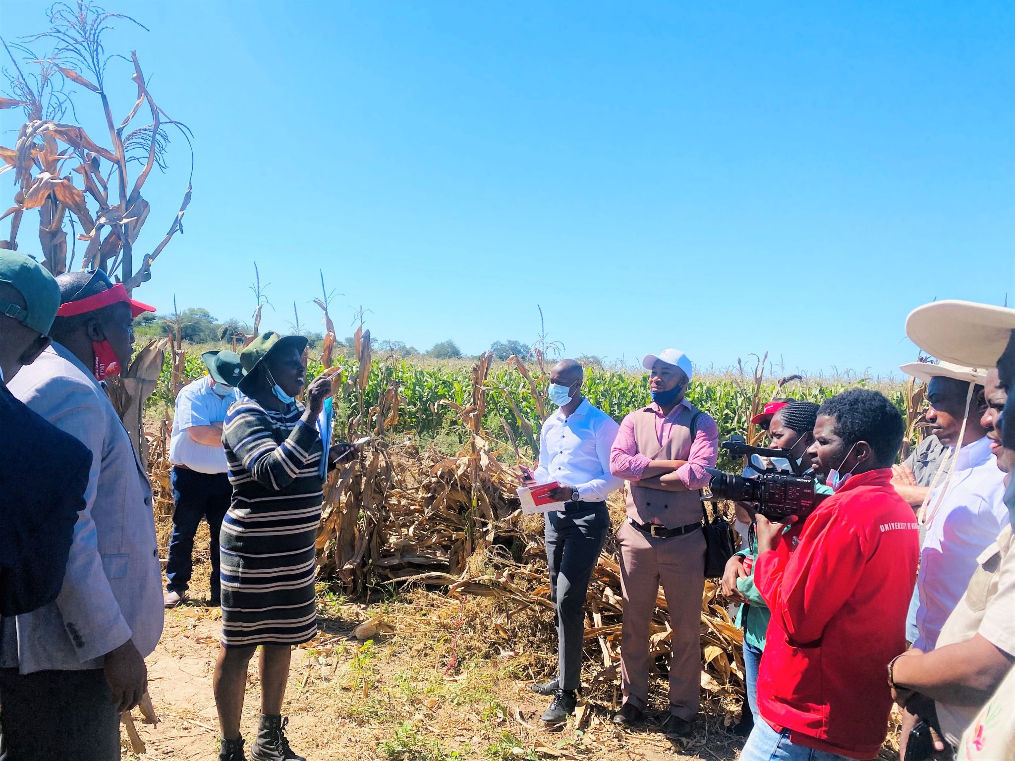 NAB AND UNAM SEED RESEARCH PROJECT TO YIELD PROMISING OUTCOMES